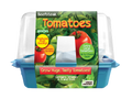 Beefsteak Tomatoes Sprouter Terrarium